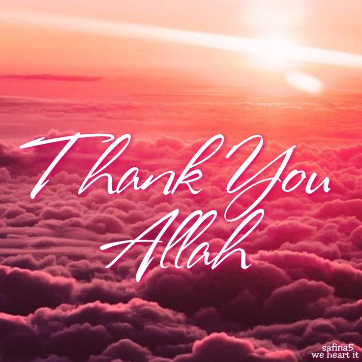 Emeraude1406's tweet photo. @bebeinghuman
For Your Love and Your Blessing on me.
Thank You #MyLORD
#Birthday
#21june2016
#Ramadan https://t.co/pN1QvPzPZo