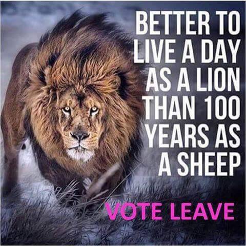 Fearnesfriend's tweet photo. #VoteLeave https://t.co/K8I9MbhKxc