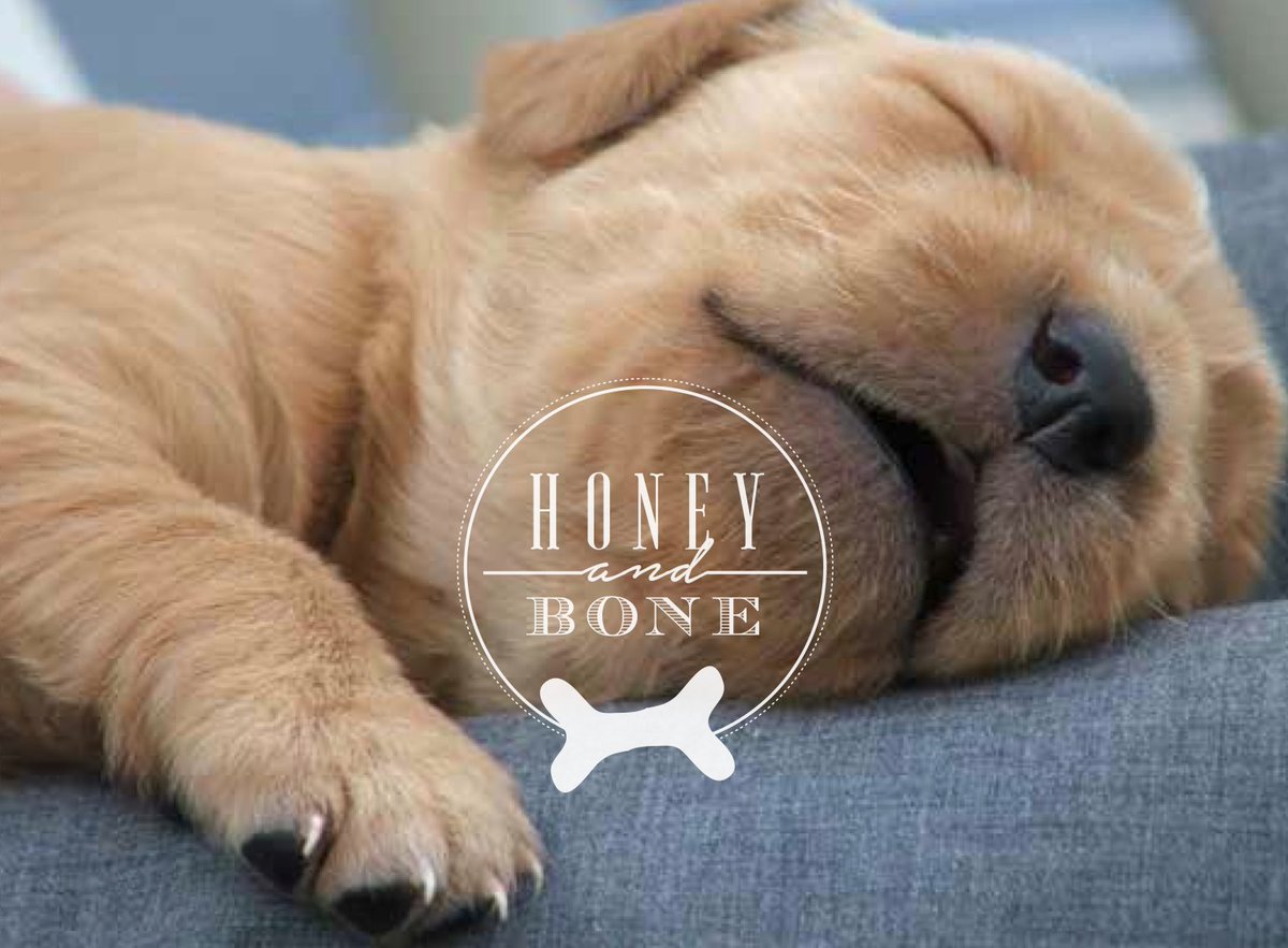 SPS_Design's tweet image. #BrandIdentity  #HoneyandBone 
#StonePaperScissor #SPSdesignstudio #GraphicDesign #Branding #Pets #Petaccessories