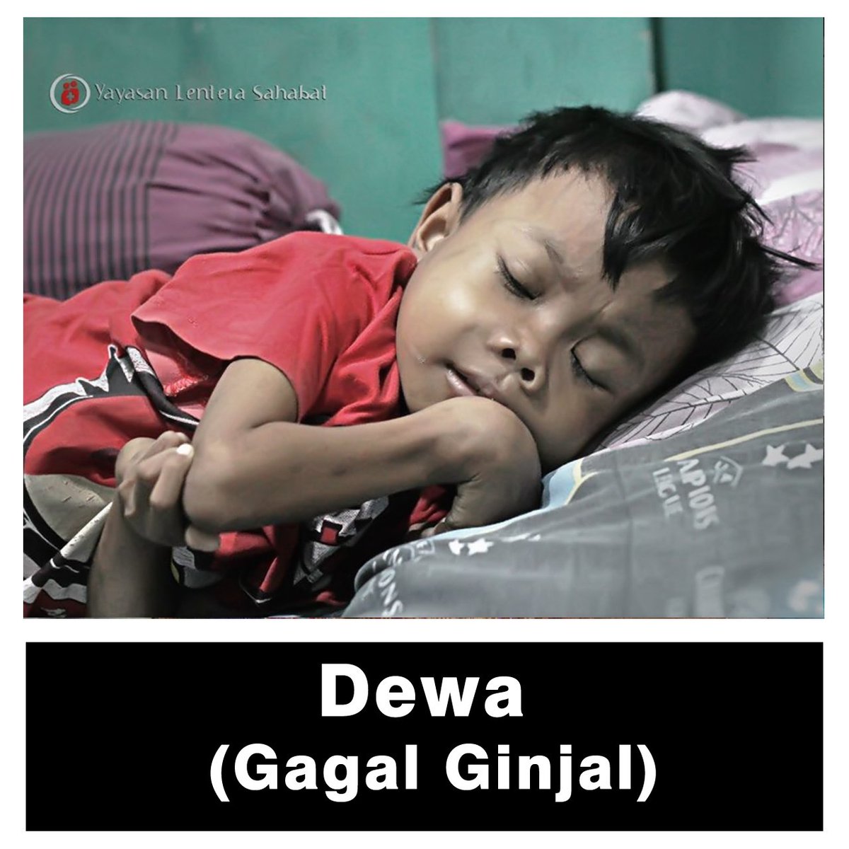 Lentera Sahabat tweet media