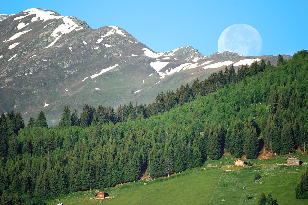 Mitsommernachts-Vollmond am Piz Máler. Was ein Start in den Tag. <a href="/Graubunden/">Graubünden</a> <a href="/MySwitzerland_d/">Schweiz Tourismus</a> #verliebtindieschweiz