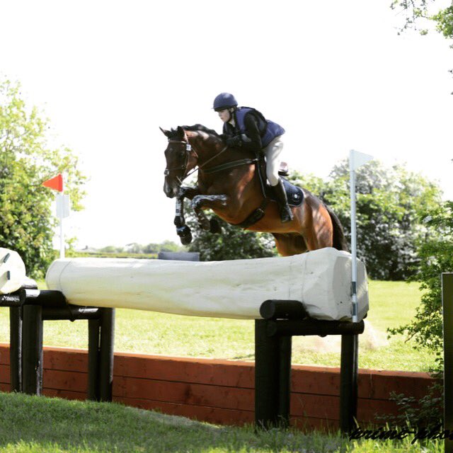 corish_joanne's tweet photo. Tatts 2016 π¦β¨ #eventing #tatts2016 #amorpolo https://t.co/2ozfyZE8k3