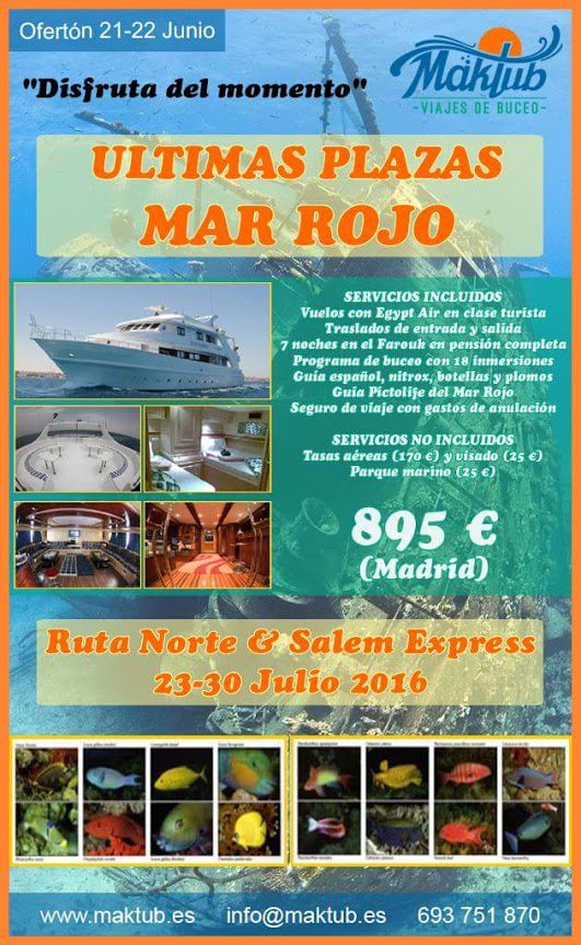 bninavega's tweet photo. ¿Te gusta el buceo? ¡¡Reserva ya tu plaza con #Maktub, quedan muy poquitas plazas y son limitadas!! https://t.co/y47NjNlJaH