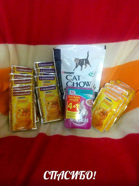 domik_spasennyh's tweet image. Спасибо Ксении за помощь! #Спасибо