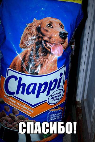 domik_spasennyh's tweet image. Костя Титовец, спасибо за корм! #Спасибо