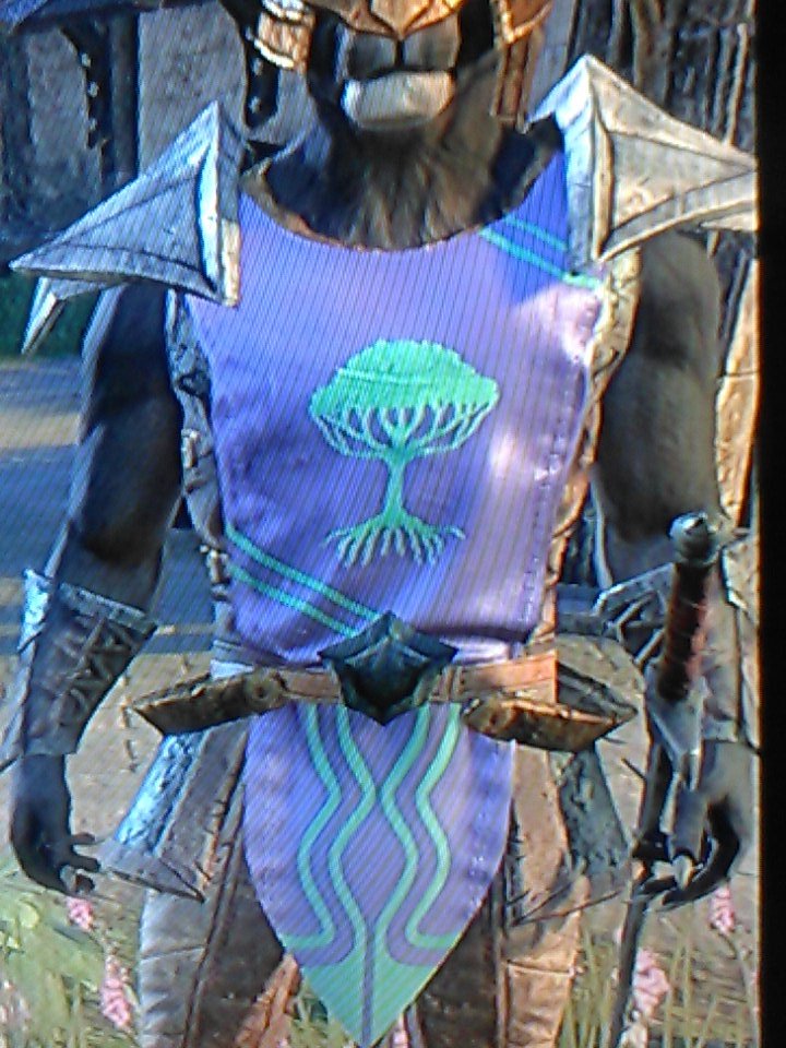 GuildHeadQuater's tweet photo. This is our #GuildTabard, & it's for sale in our guild store. Wanna join? Leave your GT. Go get yours today! #JOBK https://t.co/lSJBtnD4rt