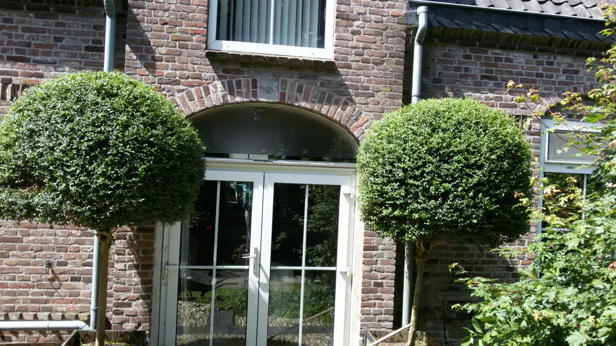 MaatwerQ's tweet photo. Deze boompjes weer voorzien van een nieuw jasje! #teamwork #zomerproof https://t.co/JZO4F31cKM