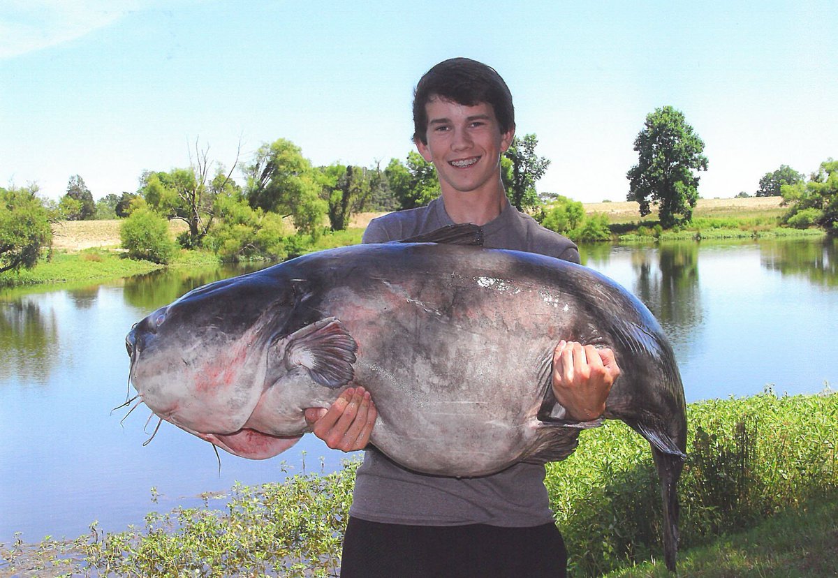 NCWildlife's tweet photo. It's official! Another blue catfish state record from Lake Gaston: https://t.co/bhIFH1qwFa https://t.co/jBWdqas3dq