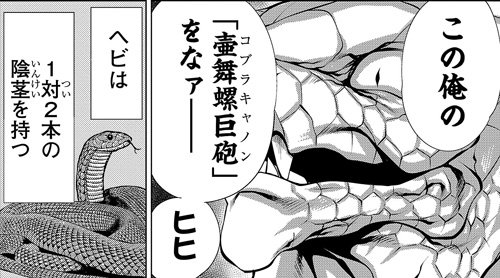 キリングバイツ 公式 最新第18巻発売中 En Twitter 第15話プレイバック 隅田先生の見どころ も 壷舞螺巨砲 最初はどこまでやっていいものかと思いましたが 実物を見たらしっかり描かないといけないと思いました キリングバイツ キリングバイツ 公式 最新第18巻発売中 En Twitter 第15話プレイバック 隅田先生の見どころ も 壷舞螺巨砲 最初はどこまでやっていいものかと思いましたが 実物を見たらしっかり描かないといけないと思いました キリングバイツ