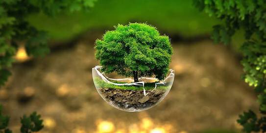 bashetty1996's tweet photo. Look deep into nature , then you will understand nature😊😊...#HArithaYatra @Teamifocus https://t.co/4hj2mPWUVb
