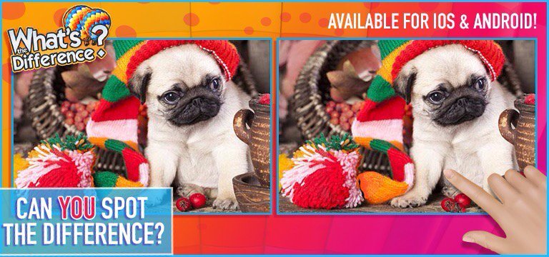 willyfoo's tweet image. Up to level 13 on this now...

WhatsTheDifferenceApp.com