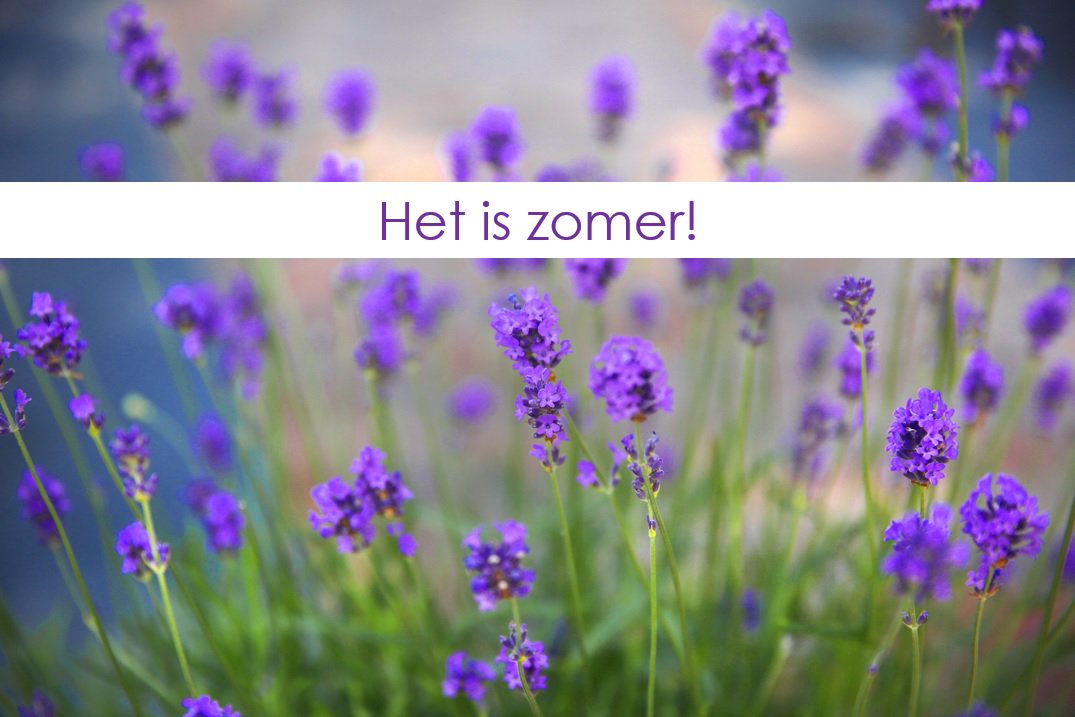 Geniet deze #zomer bij Hotel Akersloot van onze zomerarrangementen bit.ly/28LM1IK