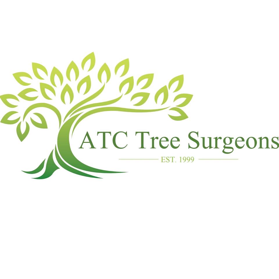 Welcome to the brand new ATC Tree Surgeons Twitter account. Stay tuned for more updates.....