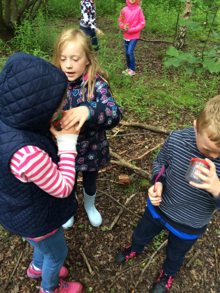 Comely_P3's tweet photo. Hunting for minibeasts this morning!! #jupiterwildlifecentre 🐛🐌🐞🐜🕷 https://t.co/TIxZIIH9L5