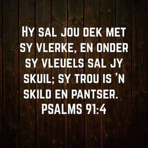 Wat n wonder! #secretplace