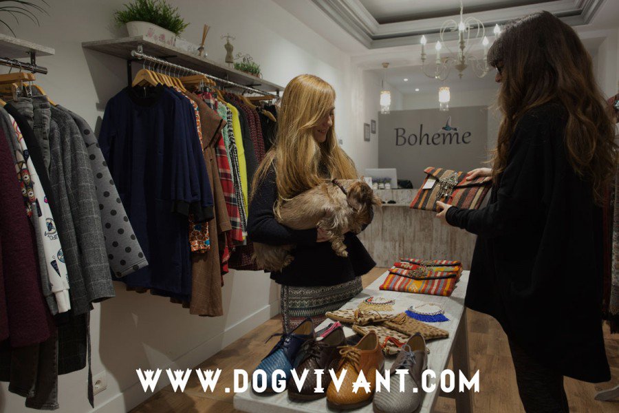mascotator's tweet photo. Dog Vivant, haz planes con tu perro - https://t.co/uvrOcVdu3Y https://t.co/IpmIvgiprr