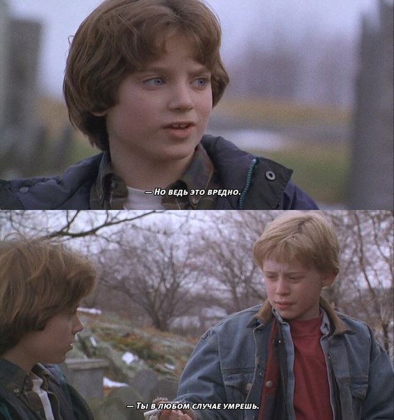 kinovarnya tweet picture