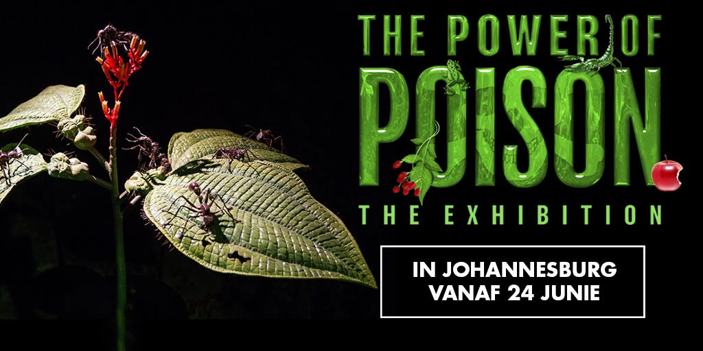 rooi_rose's tweet photo. #PowerOfPoison is op pad @SilverstarZA toe – lees meer hier: https://t.co/GnPVBKL31J @Expo_RSA https://t.co/T7odsWfNpW