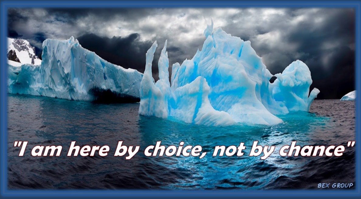 BEXGROUP tweet picture