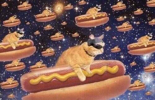 ladystardust___'s tweet photo. Haven't tweeted in almost month cuz I lost my phone but I came back just for #BallParkAngusGiveaway ❤🌭Angus Hamdog https://t.co/ZCWmHMqfaD