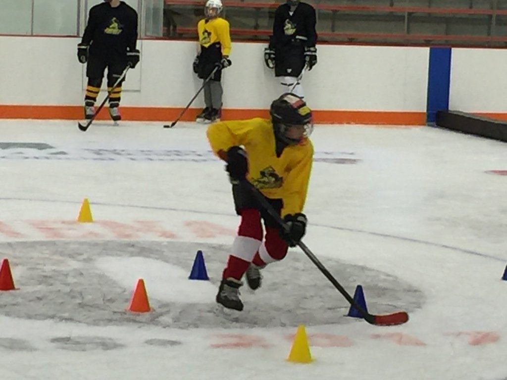 Perrysburg Hockey (PburgHockey) Twitter