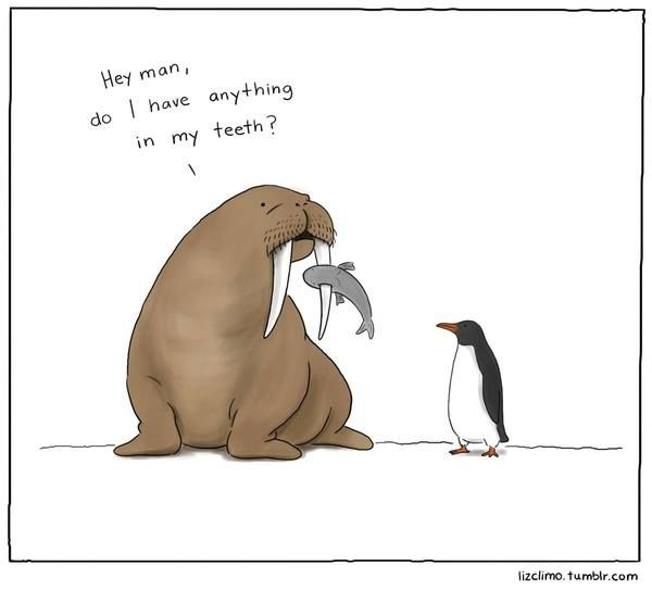 DrGuyLewis's tweet photo. Never underestimate the important of flossing, y'all. #lovethatsmile #floss https://t.co/aBcdMhRVsD