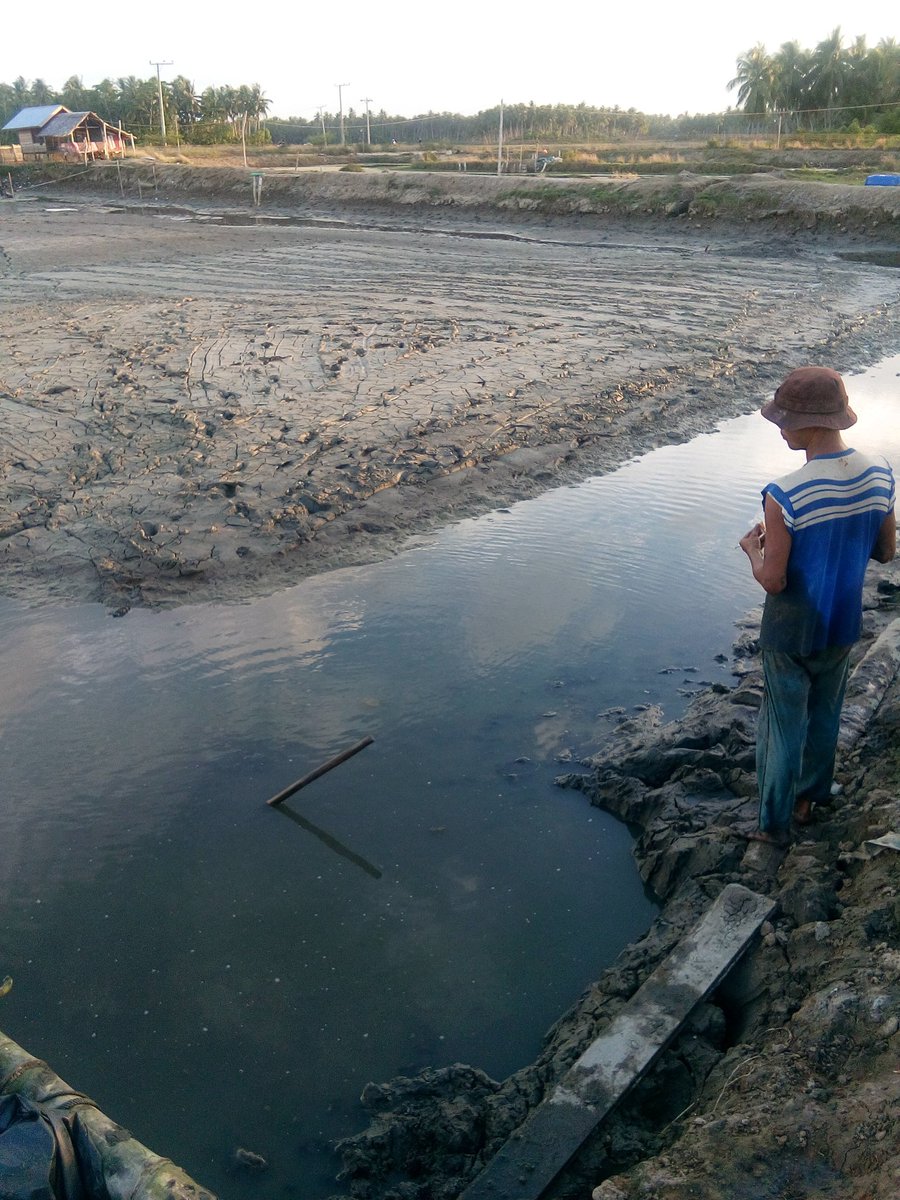 Persiapan tambak petani  
<a href="/bpsdmpkp/">BPSDMPKP</a> <a href="/kkpgoid/">KKP RI</a> @PPBPUSLUHDAYAKP @pusluhdayakp