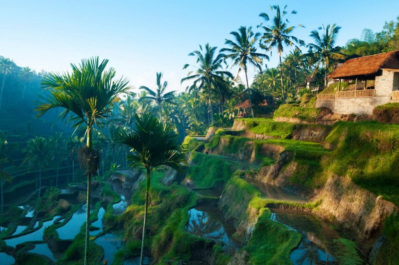 Jaapvdb's tweet photo. Vlucht naar Bali geboekt! 27 september! Voor hoe lang? Geen idee! “Travel the path of food!” @FoodnomadNL https://t.co/Eoqn2PnxyS