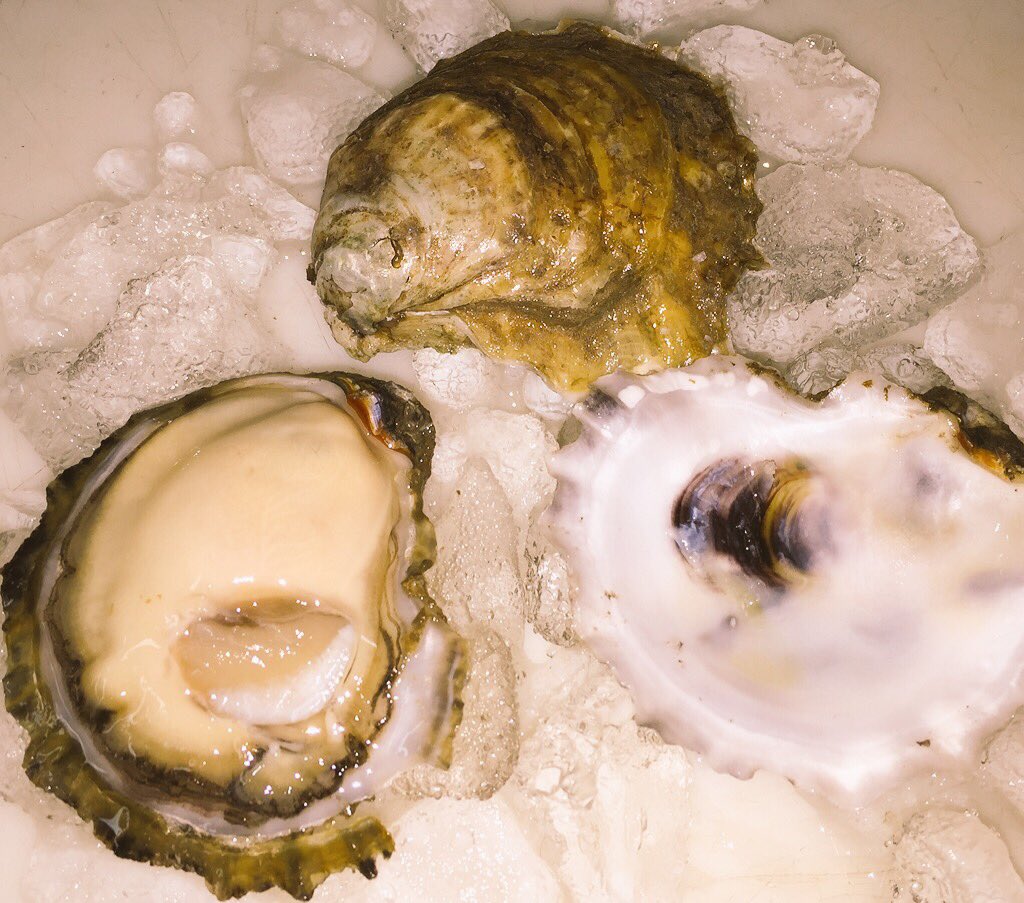<a href="/MARTIEparty/">Martie Duncan</a> <a href="/MIORoysters/">MassacreIslandOyster</a> &amp; #PtauxPins <a href="/nokidhungry/">No Kid Hungry</a> These #oysters supporting a great cause.