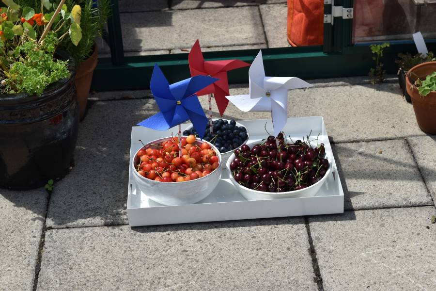 GardenCollage's tweet photo. This is a great project to do with your kids this #July4! #DIY plantable pinwheels: https://t.co/UJqJMwTWk9 #crafts https://t.co/UxHjKkhcOv