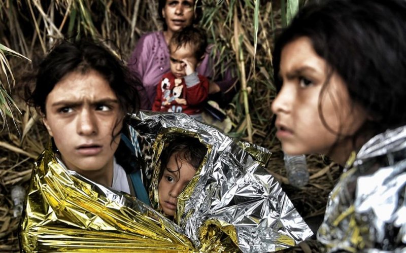 analyzeGreece's tweet photo. Open Letter to Y. Mouzalas by @KesterRatcliff https://t.co/GQFxw58EhA
#refugeesgr  #refugeeswelcome 
Ph. A. Messinis https://t.co/QmtnA5zgSI