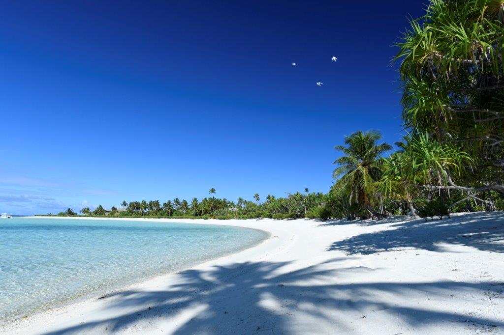 TheBrandoResort's tweet photo. The untouched waters of Tetiaroa bring a peace to guests that is simply priceless. https://t.co/JfLg7QBPLK #luxury https://t.co/ZSXkTGC4rQ