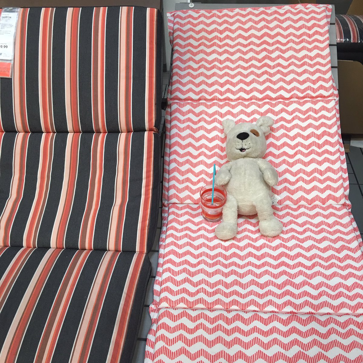 IKEAOrlando's tweet photo. @WoroEtte Pls DM us so we can get this lost pup home! https://t.co/JQsJNB7G7U
