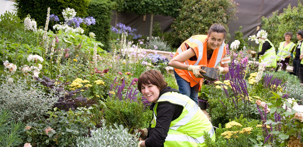 groundworkuk's tweet photo. If you live within 2 miles of a One Stop store #Carriers4Causes can help your community: https://t.co/i2jKbI8GOs https://t.co/71TlgY4i0N