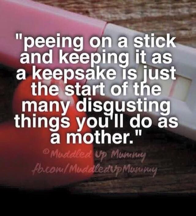 beckylapthorne's tweet photo. 🙈🙈 #andsoitbegins can't throw it away 🙈🙈 https://t.co/qNsLvEplc4
