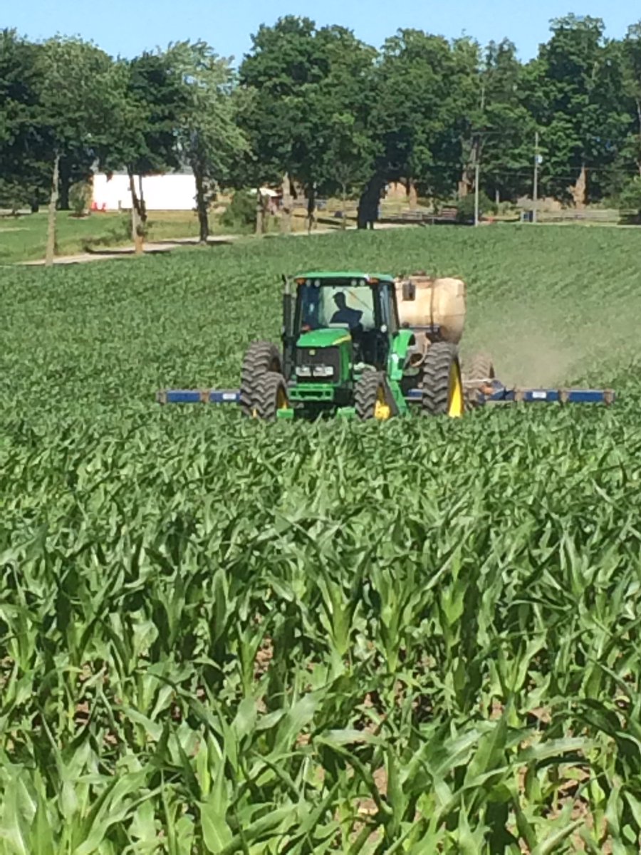 Thanks to <a href="/boadwayfarms/">Mac Boadway</a> for the custom N application today.