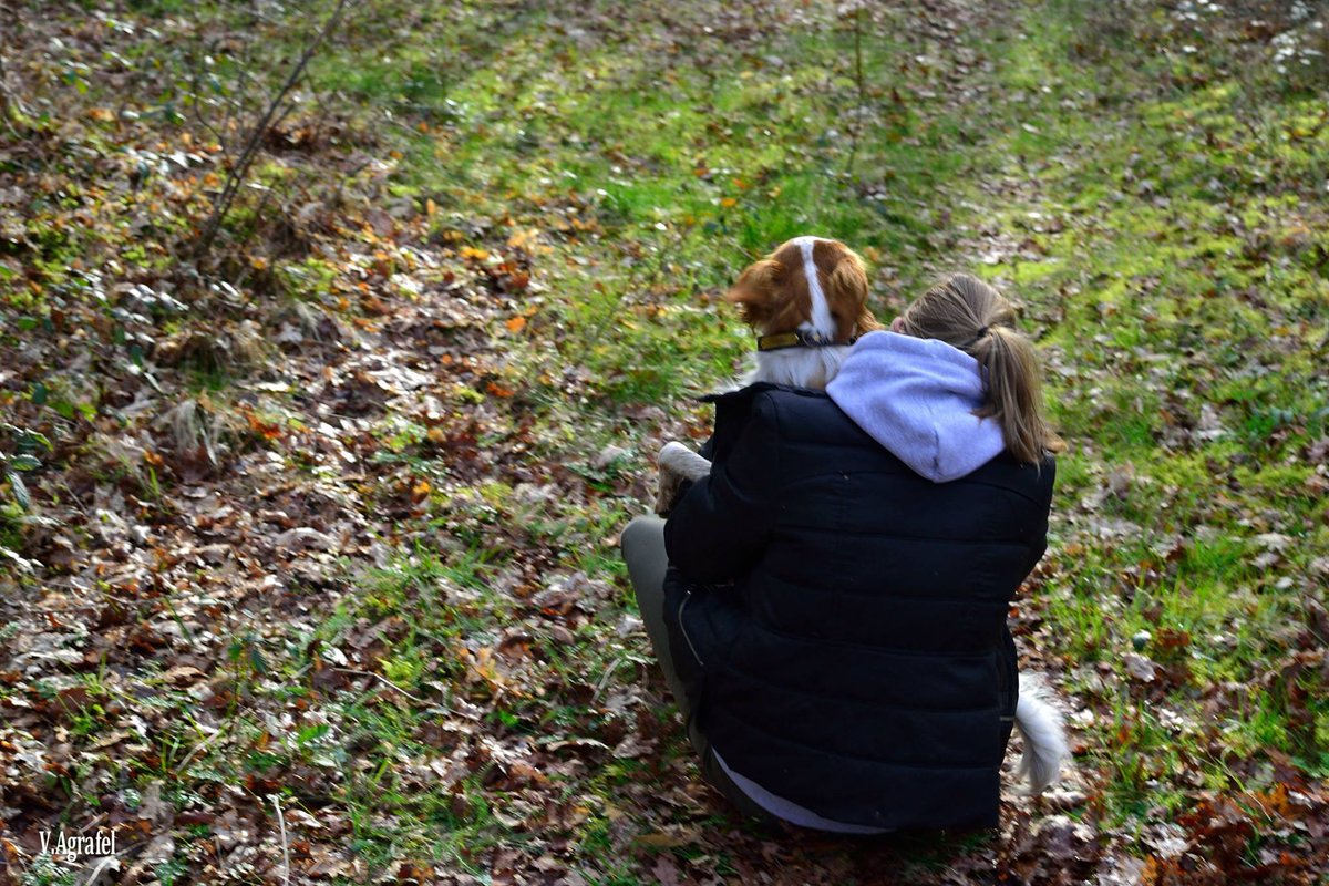 Kristinapicture's tweet photo. Tu l'as voulu...tu le gardes !!
TOUS ENSEMBLE CONTRE L'ABANDON
#Contrelabandon https://t.co/iCZJQPuG5k