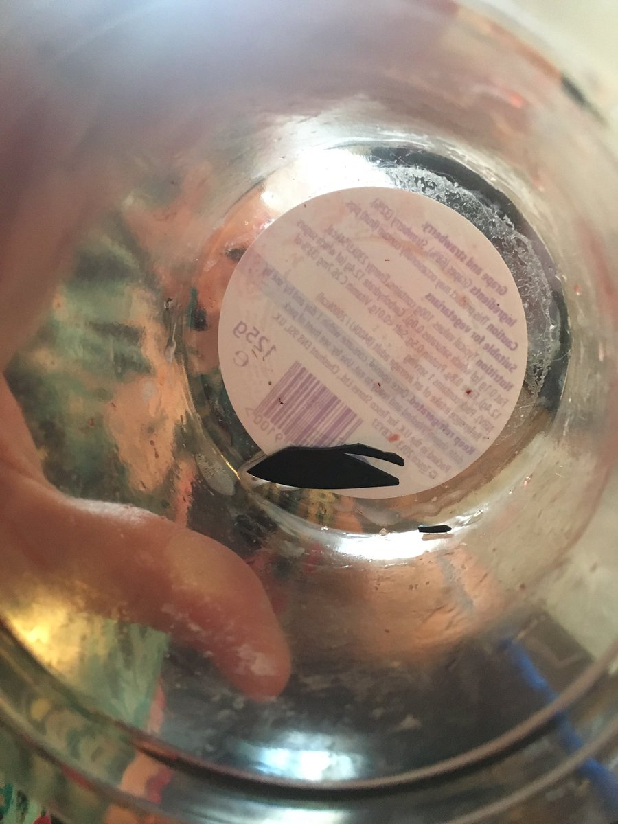 ChelsLewis's tweet photo. @Tesco just found this piece of plastic in my fruit pot!! https://t.co/OFQXnTF55S