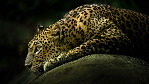 It's okay to feel overwhelmed and not know why. #depression #anxiety