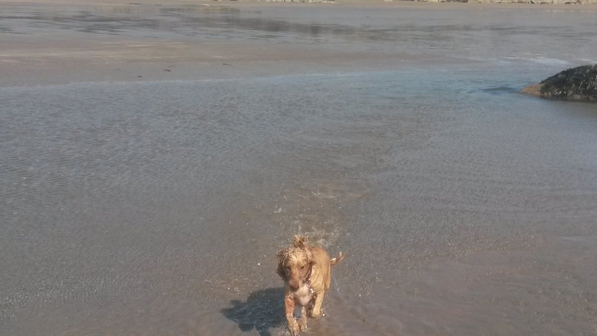 Its_a_Bess_Life's tweet photo. Bird spotting #onetrackmind #BeachReady https://t.co/aLFRM9uoVu