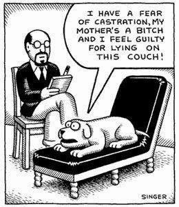 emmyzen's tweet photo. We are all a bit like this dog, taking our lives the hard way and thinking the worst of ourselves. Cheer up. https://t.co/mbJGlCYY82