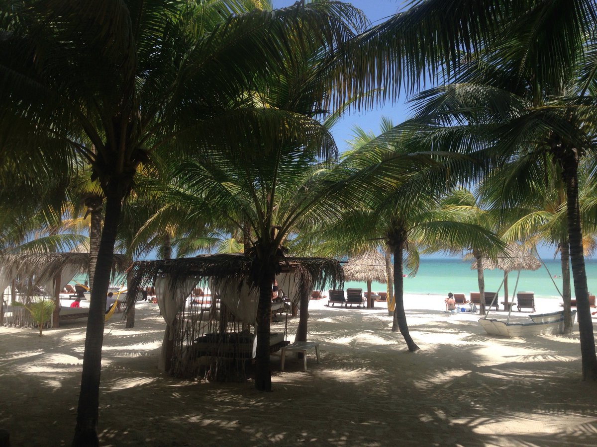HolboxHotel's tweet photo. Welcome Summer '16 - Bienvenido Verano '16
HERE AND NOW-AQUI Y AHORA #holboxhotelcasalastortugas #sunandfun #summer https://t.co/PPhiX4WIeP