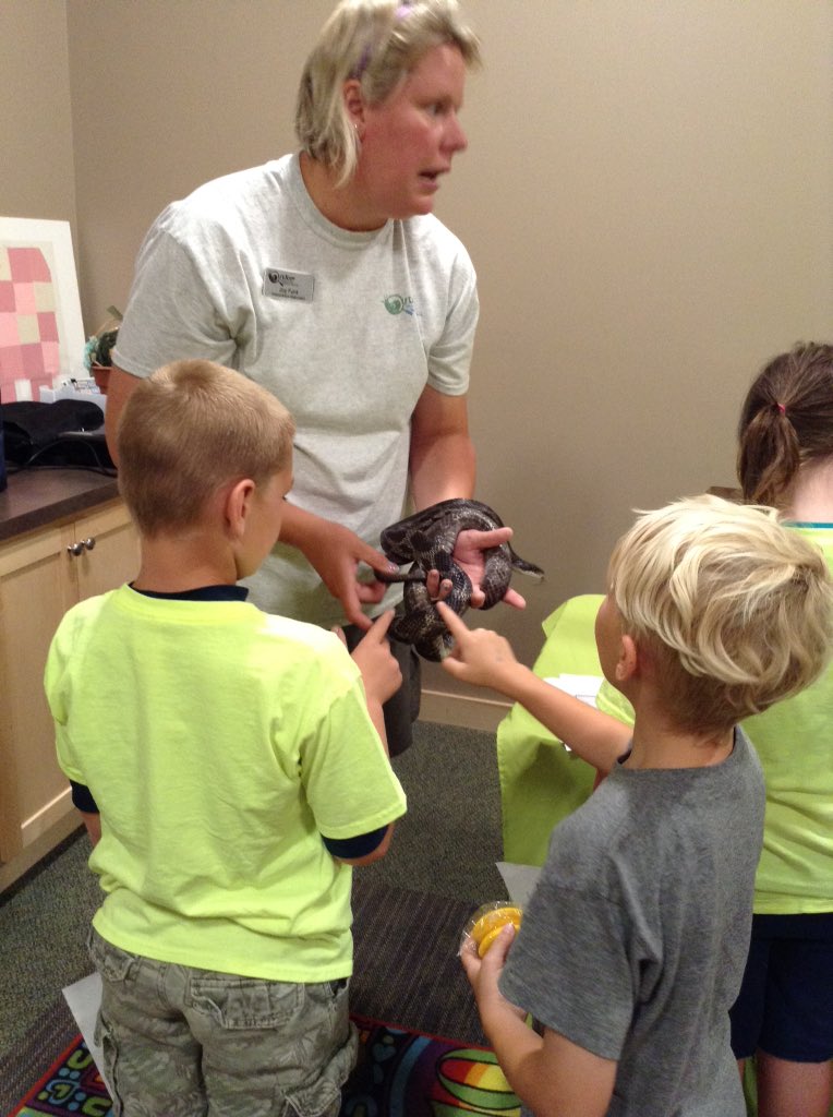 Invasion of critters at the library summer program!