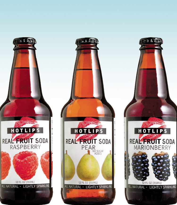 .@HOTLIPSpizza &amp; <a href="/MigrationBrew/">Migration Brewing</a> release a collaborative Radler newschoolbeer.com/2016/06/hotlip…