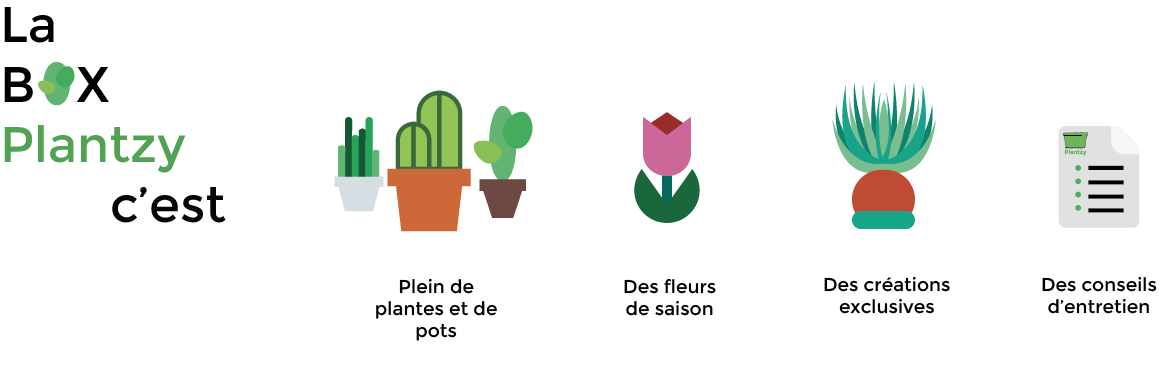 La BOX Plantzy, vous connaissez? bit.ly/28PoB7E #box #plantes #montreal