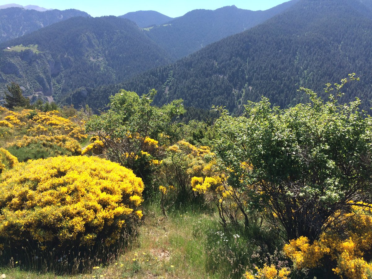 Enjoying beautiful Catalonia, where they want to leave Spain and join the EU. Sovereignty is a multilayered thing.