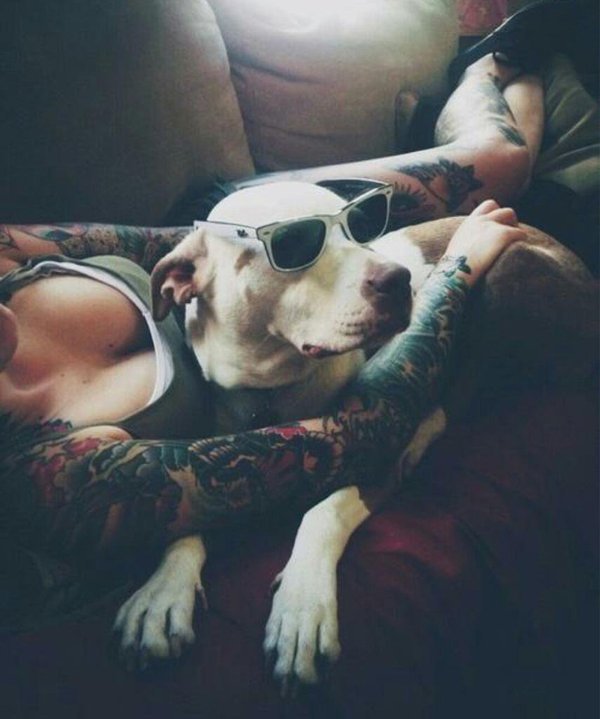 TattoosHeaven's tweet photo. https://t.co/qGghjGYNqQ