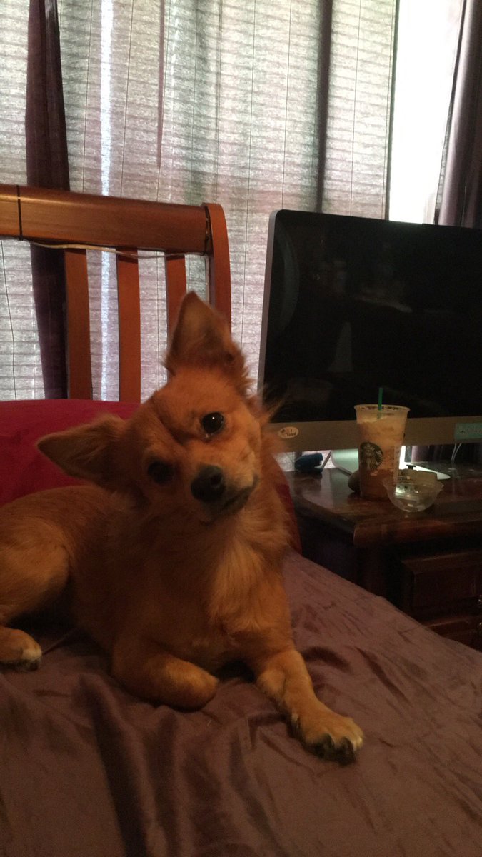 Tugboat's tweet photo. When bae catches u off guard but u still slay https://t.co/f8CW0crNkm