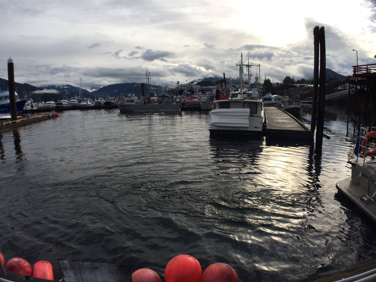 PowderMatt's tweet photo. @Good morning #PrinceRupert @cresthotel @VisitPrinceRupert @TourismBCNorth @UNBCCS #UNBCCS @doc_pow @HelloBC https://t.co/VH3eaWiUhR