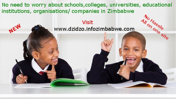 InfoZimbabwe.com tweet media